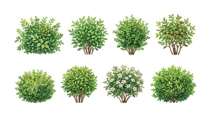 Obraz premium watercolor green wild bushes bundle collections