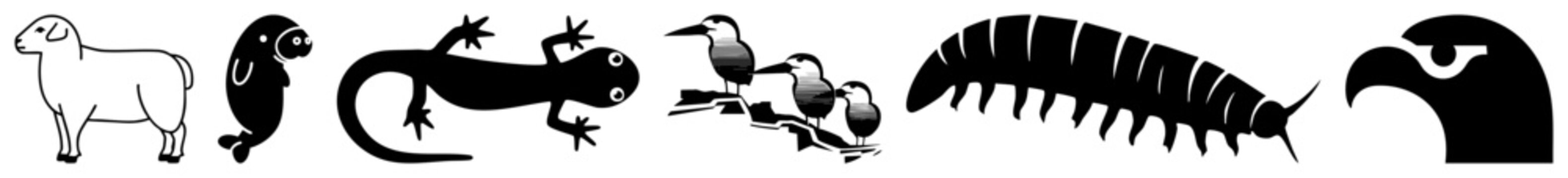 Stylized animal including sheep, octopus, salamander, birds, centipede, and eagle head, flat vector design, isolated graphics, no background.