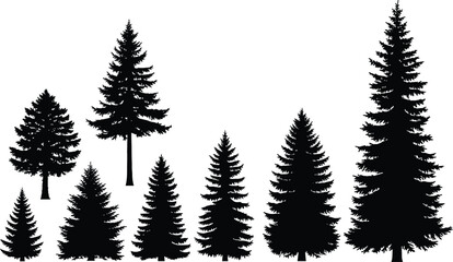 Row of coniferous tree silhouettes, diverse shapes and sizes, botanical forest vector illustration symbolizing nature, growth, forestry design elements © Momotaj