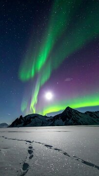 A serene winter landscape with aurora borealis (2)