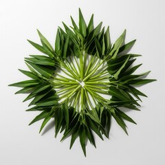 Obraz premium Abstract Green Leaf Starburst Arrangement Organic Nature Design