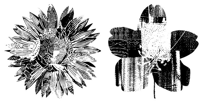 Artistic black and white sunflower with detailed petals, paired with abstract cutout, halftone texture, graphic design elements.