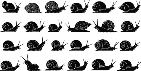 Snail Silhouette Icon Set with Garden Gastropod Shell Variations and Crawling Mollusk Wildlife Shapes Collection for Nature Biology Education and Graphic Design Projects © Kamrun
