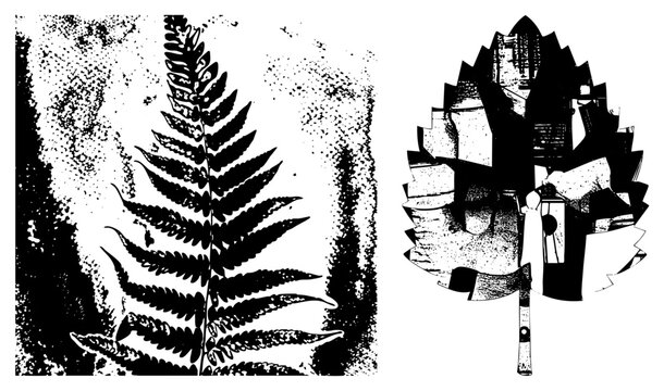 Artistic fern frond and geometric leaf design, halftone texture, graphic illustration, nature inspired vector, botanical silhouette, abstract foliage, design.