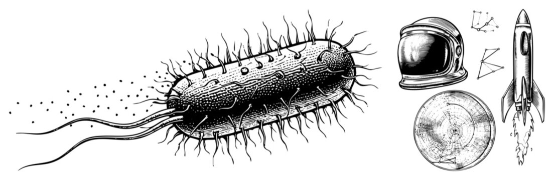 Bacterial cell with flagella and pili, alongside astronaut helmet,, and navigation chart, rendered in vintage scientific illustration style.