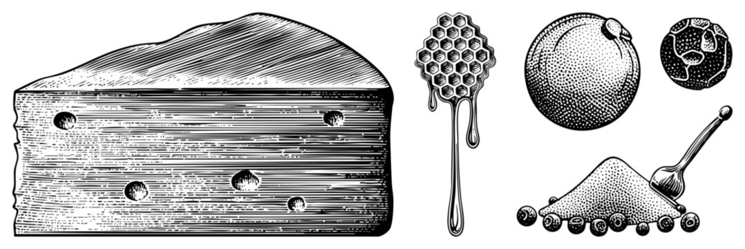Hand drawn cheese wedge with holes, honey dipper dripping, citrus fruit, blueberries with spoon, classic engraving style, food, rustic design.