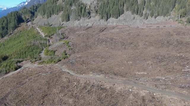 Devastating Clear-cut Logging Site In British Columbia, Canada, An Aerial View Of Deforestation