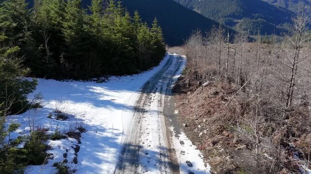 Snowy Dirt Road Winding Through a Pristine British Columbia Forest Landscape