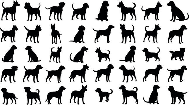   Vector illustration of multiple dog silhouettes, diverse breeds and poses, playful pets, domestic animals, creative design, modern artwork style