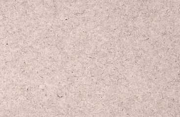 Fototapeta premium Off white recycled paper texture background with natural fiber and grainy detail