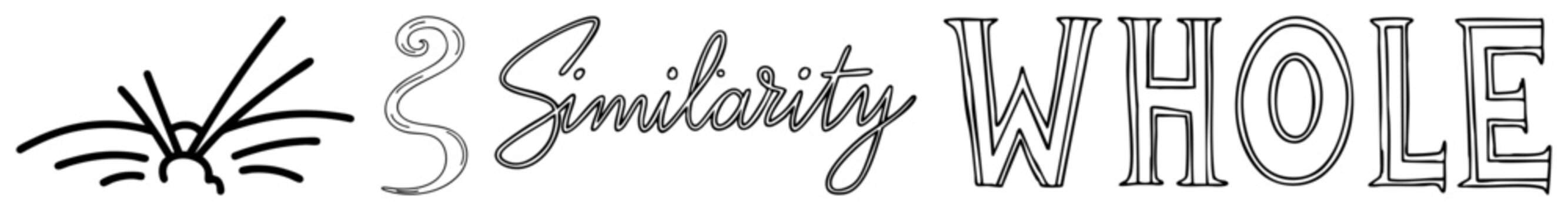 Hand drawn whisker, elegant cursive script, bold serif typeface, block lettering graphic design elements for branding, signage, or layouts.