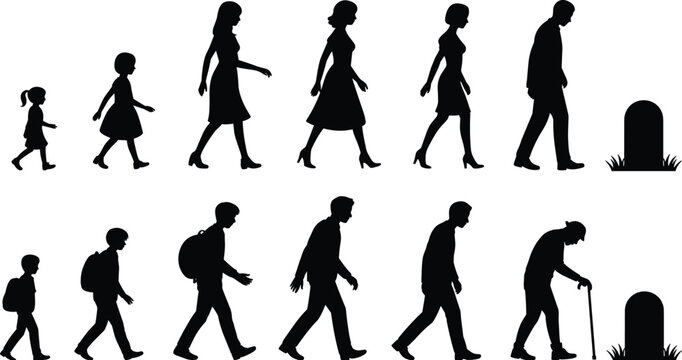 Vector silhouettes of male and female figures showing stages of human life from childhood through adulthood to old age and mortality illustration.
