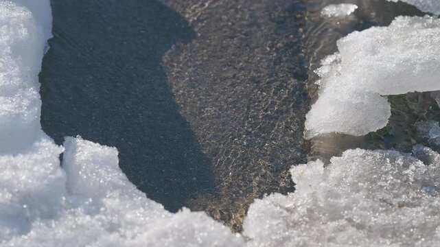 Melting snow on dark asphalt edge, spring meltwater pooling and trickling, granular slush receding under bright sunlight, icy crystals sparkling, wet pavement textures revealed