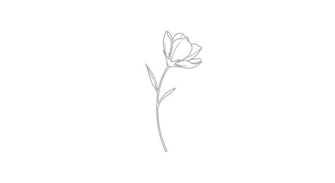 Minimalist line art of a single delicate flower with stem and leaves on a white background.
