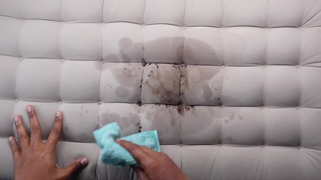Person cleaning spilled coffee and mud from white tufted mattress using blue microfiber cloth
