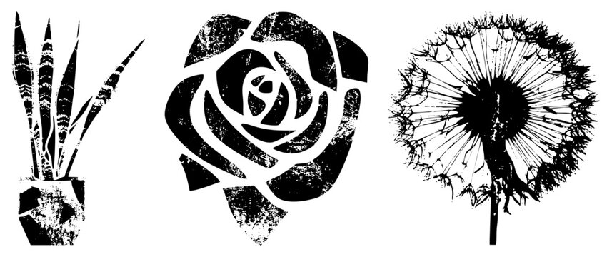 Vector art of snake plant, rose, and dandelion in distressed black and white, isolated cutout graphics with textured halftone effects, ideal for tattoo or print design.