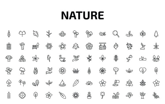 nature outline icon set. 72 linear vector for ui, web and mobile. thin line arborvitae tree, ginkgo, leaf monstera and more icons.