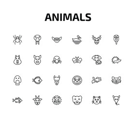 animals outline icon set. 24 linear vector for ui, web and mobile. thin line spider, sea cow, lemur and more icons. © Farahim