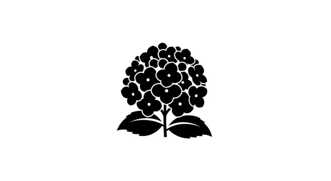 Black and white hydrangea flower silhouette, isolated on white background