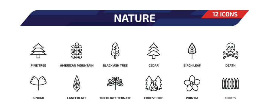 nature outline icon set. 12 linear vector for ui, web and mobile. thin line pine tree, american mountain ash, black ash tree and more icons.