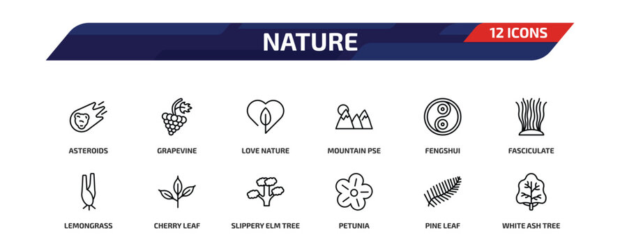 nature outline icon set. 12 linear vector for ui, web and mobile. thin line asteroids, grapevine, love nature and more icons.
