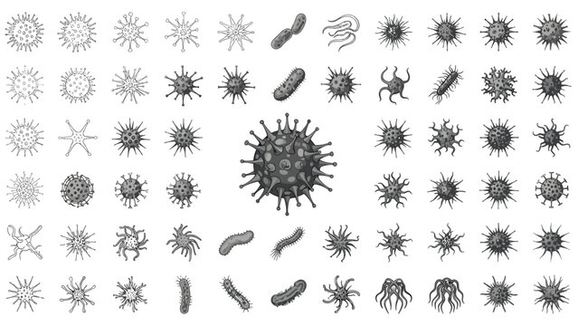Extensive collection of various virus and bacteria cell shapes and micro-organism structures for medical and scientific projects.