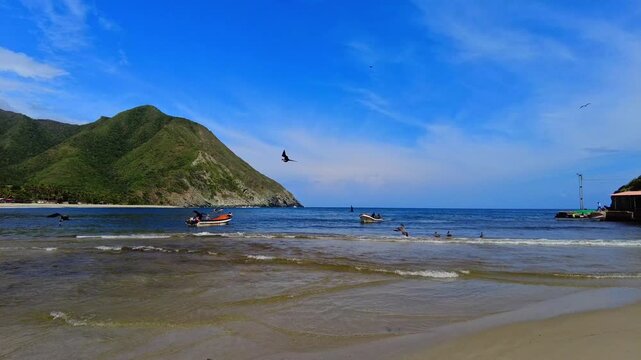 Panoramic view of Chuao Beach with fishing boats and native birds feeding there, Aragua, Venezuela