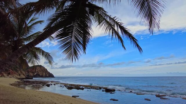 Panoramic view of the palm trees and Cepe Beach in Aragua State, Venezuela