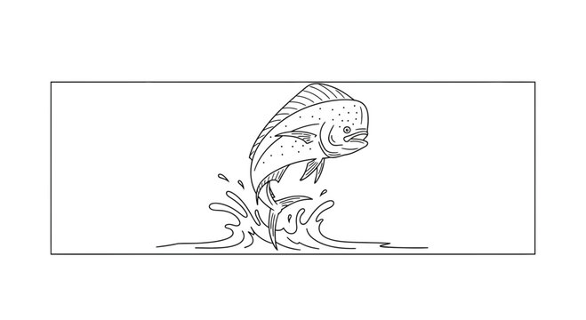 Dynamic line art illustration of a mahi-mahi fish leaping powerfully from the ocean surface