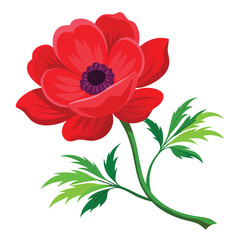 Obraz premium anemone red flower with branch on with branch on white background