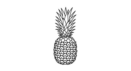 Obraz premium Pineapple Outline Drawing - Fresh Tropical Fruit, Healthy Food, Vector Illustration
