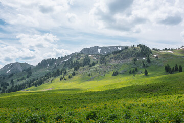 Obraz premium Green grassy meadow against stone hill with coniferous trees and high rock mountain range under cloudy sky. Big sharp rocky ridge with sheer crags. Sunlight and shadows of clouds in changeable weather