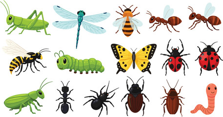 Insects collection with grasshopper butterfly bee ant ladybug caterpillar dragonfly beetle worm vector illustration set colorful cartoon style © Mifta