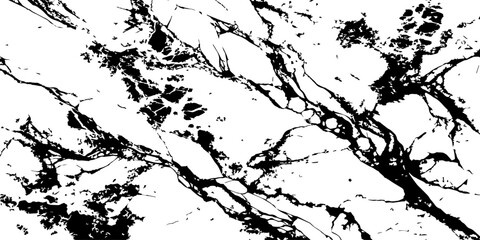 Obraz premium Abstract white marble texture with bold black veins high contrast natural stone background.