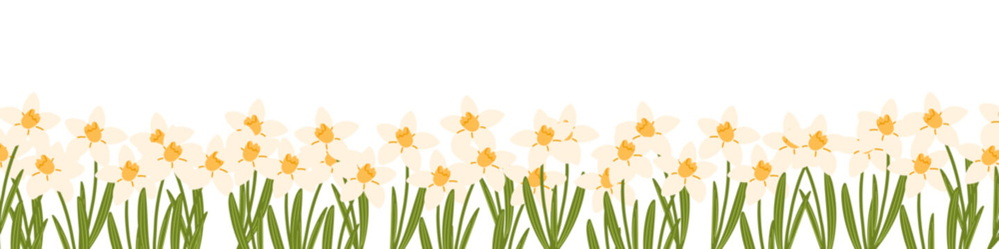 Spring daffodil floral border, narcissus flowers banner, yellow garden flowers. Hand drawn vector illustrations