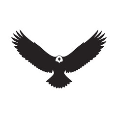 Obraz premium Bald Eagle in Flight