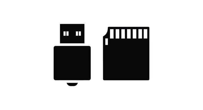 A simple graphic depicts a usb drive and an sd card both presented as flat black shapes silhouette