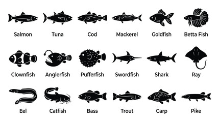 Fototapeta premium A collection of various common fish species depicted as black silhouettes with their names for educational resources aquaculture guides or marine biology presentations