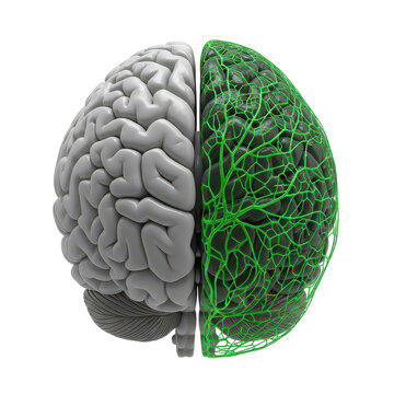 Creative illustration of a brain half covered with green leafy texture