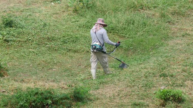 outdoor workers wearing hats trimming overgrown grass on a grassy slope using handheld brush cutters, aerial view
