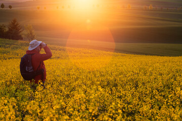 Fototapeta premium Gorgeous rural landscape with green sunny spring hills. South Moravia region, Czech Republic