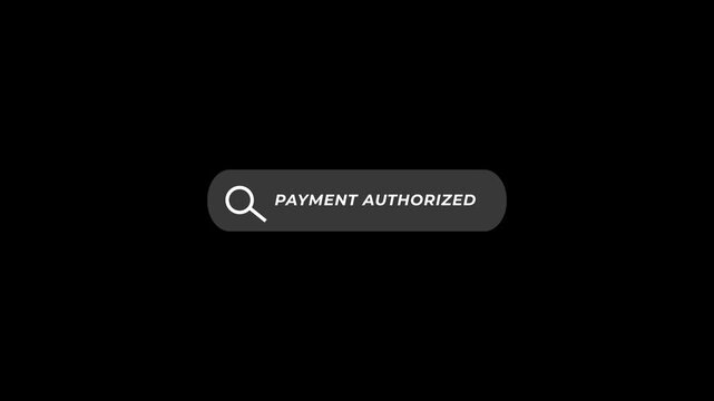 Payment Authorization Process Online Transaction Secure Payment Method payment processing transaction approval