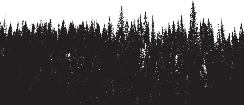 Dense forest trees silhouette background pine tree landscape black and white illustration