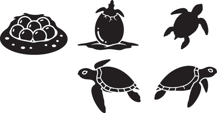 Sea Turtle Life Cycle Icons: Hatchling, Nest, and Adult Turtle Silhouette Set