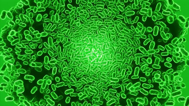 Microscopic Organisms Multiplying Rapidly Exploding Outward with Neon Green Glow on a Vibrant Green Screen Background