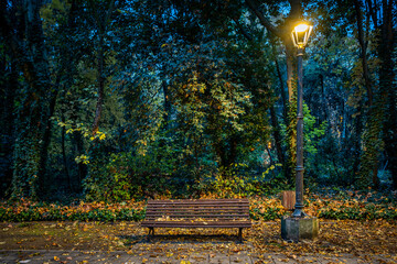 campo en invierno con arboles y hojas verdes y amarillas