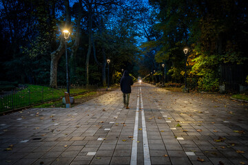 Valladolid ciudada europea de España centrla en invierno al anochecer 
