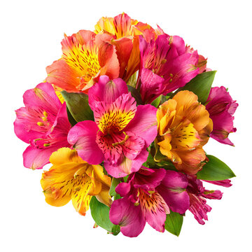 Beautiful Vibrant Pink Yellow Flower Bouquet White Background Isolation Professional Photography
