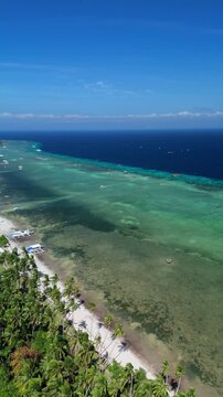 Vertical drone pans right over Doljo Beach reef flats and palm-lined coast in Panglao, Bohol