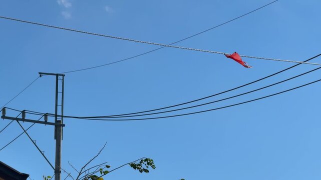 Showing electrical wirings a stuck red kite at near by residential area